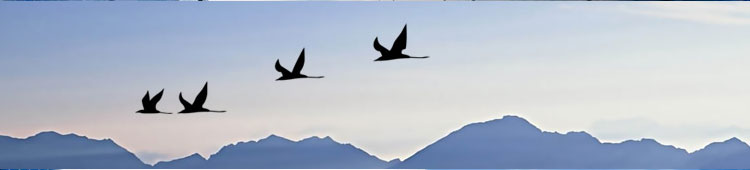 ��Ϣ����